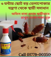 তেলাপোকা দমনে (Pest Control Spray)